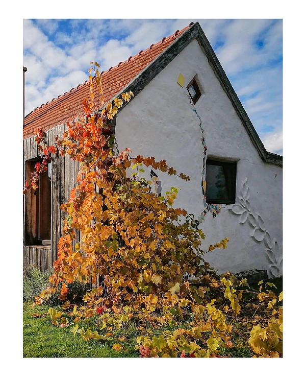 Eco-house Gorička Lepotička