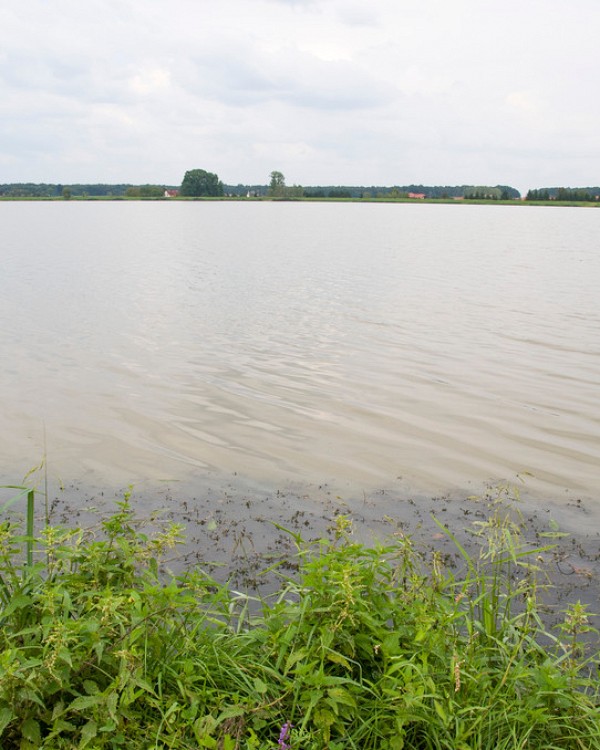 Lake Gajševsko jezero