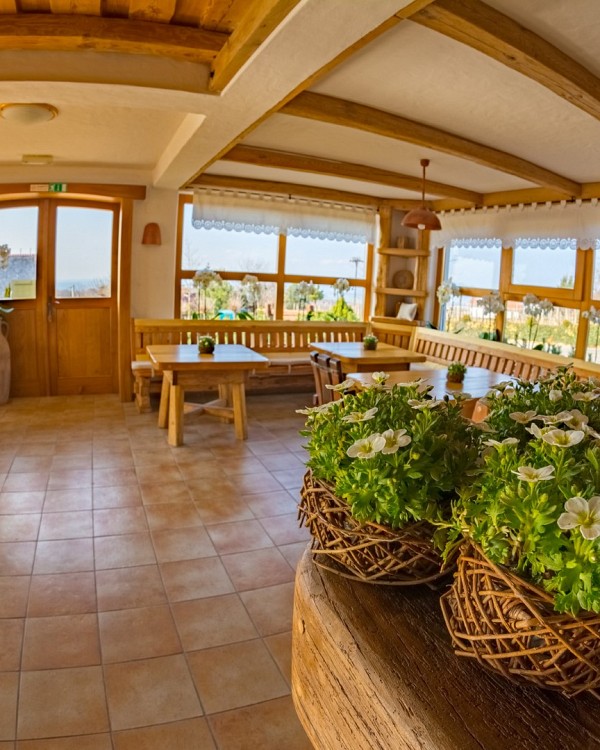 The House of Wine Cuk