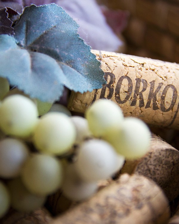 Bauernhof mit Unterkunft Borko Danijela