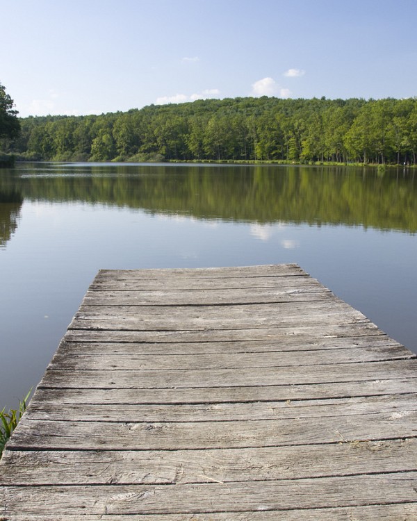 See Bukovniško jezero