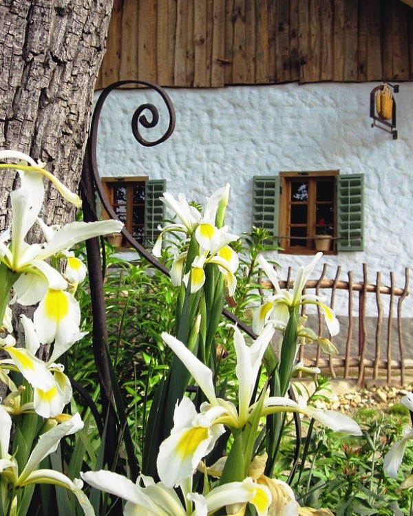 Apartmaji Džaboka & Gruška